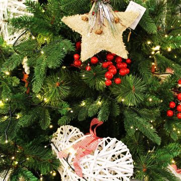 Floritutorial: l'albero di Natale!