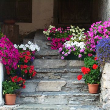 Colora il tuo balcone!