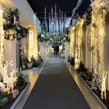 Floritutorial: un Natale di tendenza!