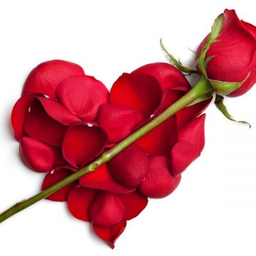 A San Valentino regala un fiore!