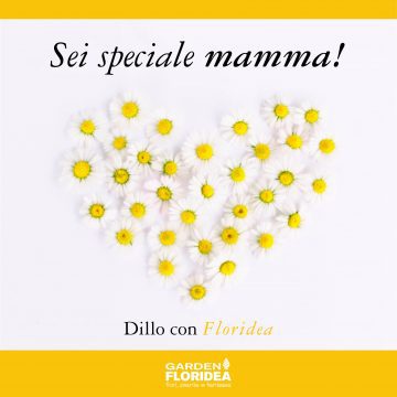 Sei speciale mamma!