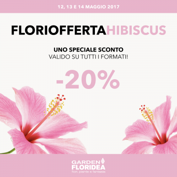#Floriofferta Hibiscus