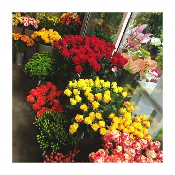 Fiori recisi, tanti colori e creazioni personalizzate