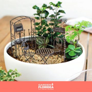 Mini gardening: la nuova frontiera del giardinaggio