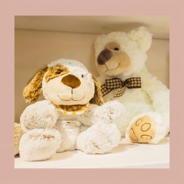 Peluches, coccole e tenerezze