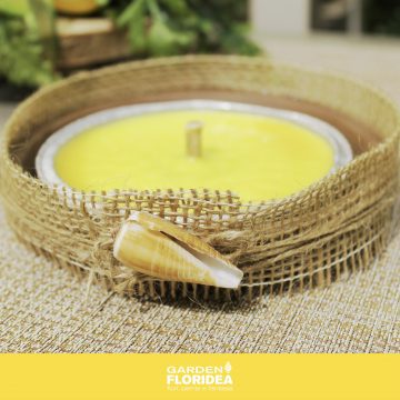 #Floriofferta Citronelle