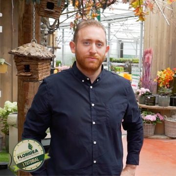 Floritutorial: Garden Festival d'autunno