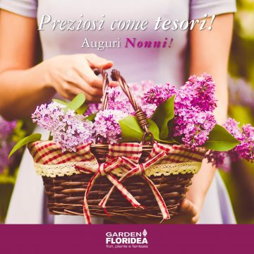 I nonni sono preziosi come tesori!