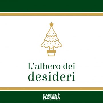 Parte il primo Floricorso di Natale!