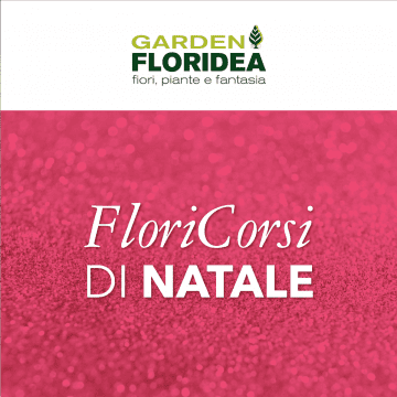 Floricorso: Piante invernali e piante del benessere