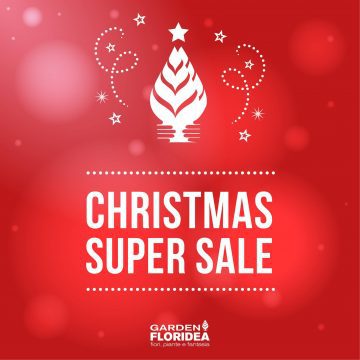 Incredibile Floriofferta di Natale!