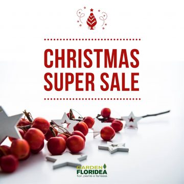 #Floriofferta: Christmas Super Sale!