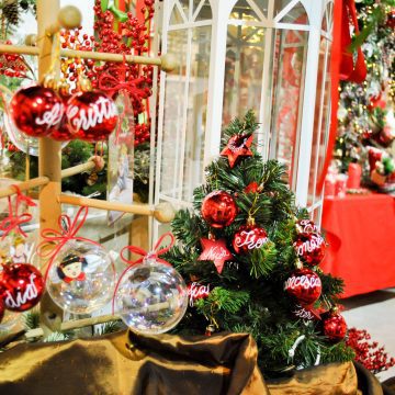 Splendide decorazioni per il tuo Natale!