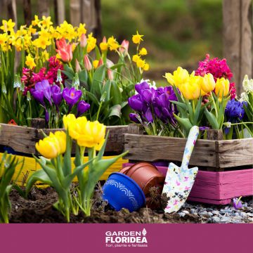 Colore in giardino con le bulbose!