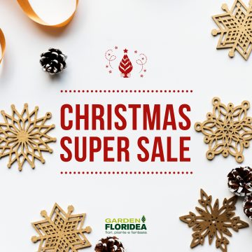 Affrettati, i Christmas Super Sale stanno per terminare!