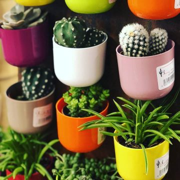 Coloratissime novità Garden Floridea!