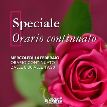 A San Valentino sorprendi con un fiore!