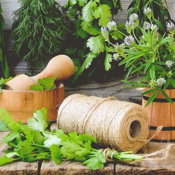 Le aromatiche
