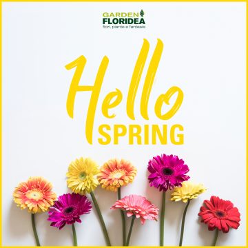 Benvenuta primavera!