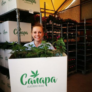 Novità: canapa agroindustriale!