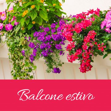 Celebra la tua estate con un balcone rigoglioso e fiorito!