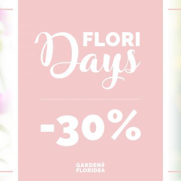 #FLORIdays: Bouganville e Rose!