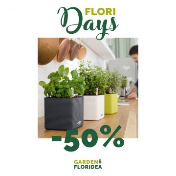 #FLORIdays: vasi Lechuza!