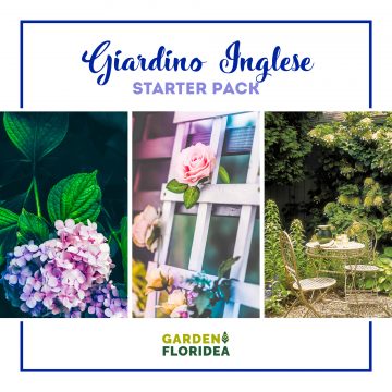 Giardino inglese: starter pack