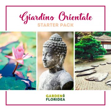 Giardino orientale: starter pack