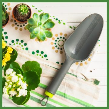 Proteggi il giardino in vista dell'inverno!