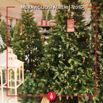FLORINATALE | Meravigliosi alberi