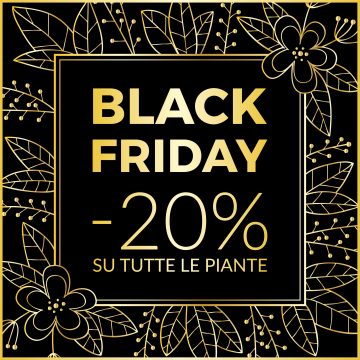 Da Garden Floridea è black friday!