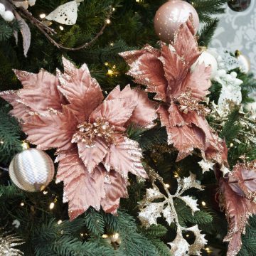 Il Natale Innevato