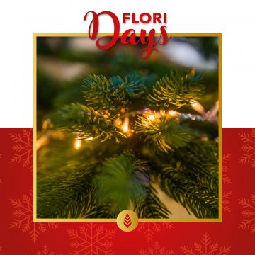 #FLORIdays Christmas Edition: magiche luci!