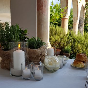 Floridea wedding emotions