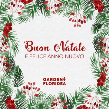 Buon Natale!