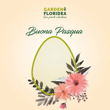 Buona Pasqua!
