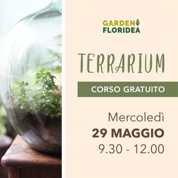 Realizza il tuo Terrarium! Corso gratuito
