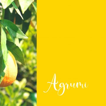 Agrumi | #GiugnoInFiore