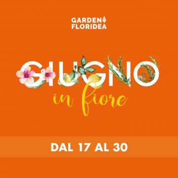 Giugno in fiore | Garden Floridea