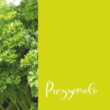 Prezzemolo | #GiugnoInFiore