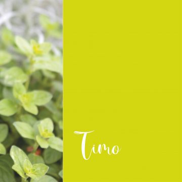 Timo | #GiugnoInFiore