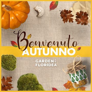 Bentornato autunno!