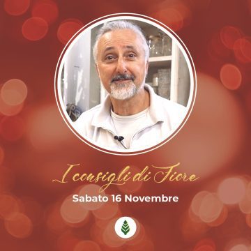 I consigli di Fiore!