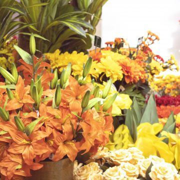 Nostalgia dei Fiori?