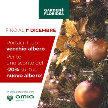 Porta il tuo vecchio albero!