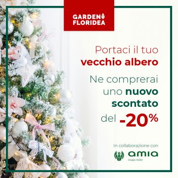 Portaci il tuo vecchio albero!