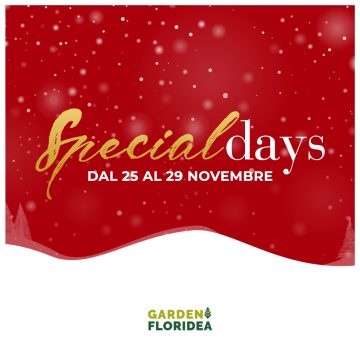 SPECIAL DAYS!