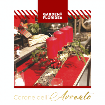 Candele dell'Avvento