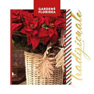 Un Natale Tradizionale!